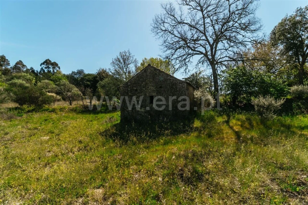 Terreno para Venda em Pero Viseu Foto 8