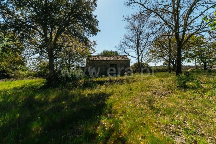 Terreno para Venda em Pero Viseu Foto 6