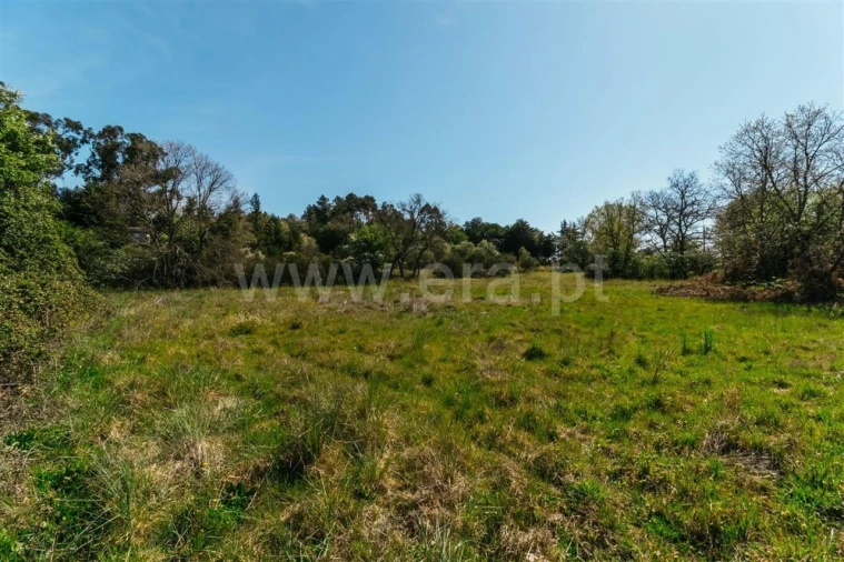 Terreno para Venda em Pero Viseu Foto 10