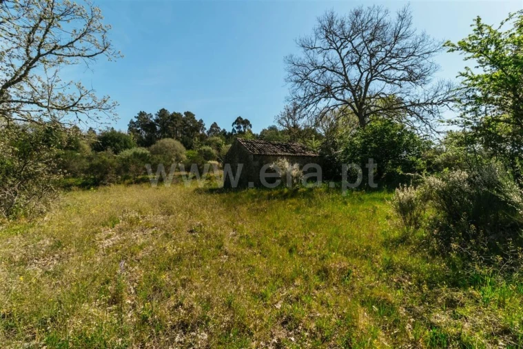 Terreno para Venda em Pero Viseu Foto 7