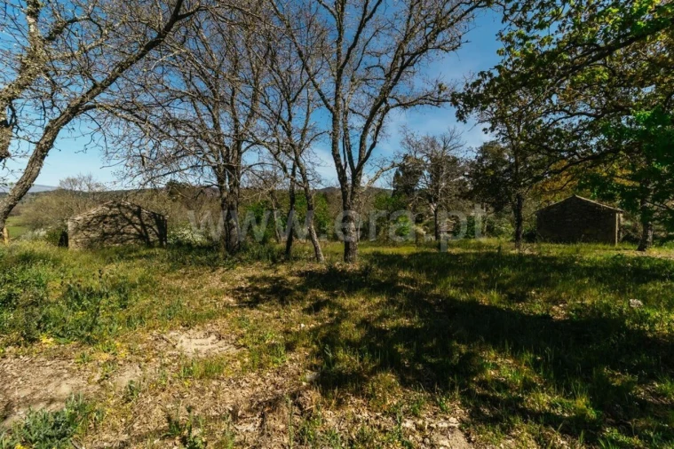 Terreno para Venda em Pero Viseu Foto 3