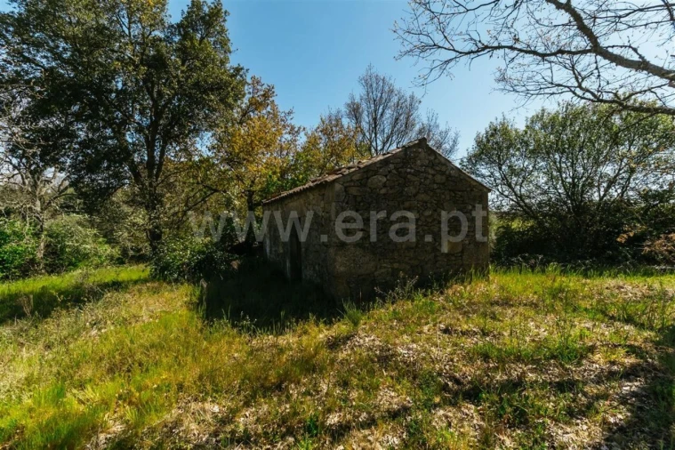 Terreno para Venda em Pero Viseu Foto 5