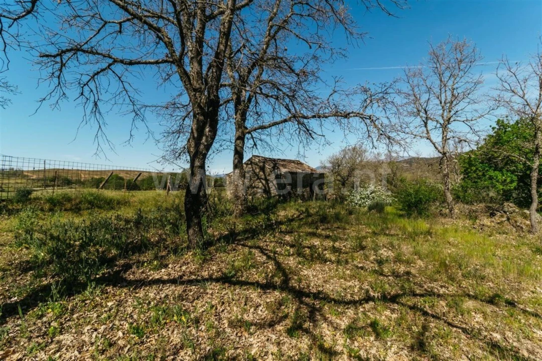 Terreno para Venda em Pero Viseu Foto 4