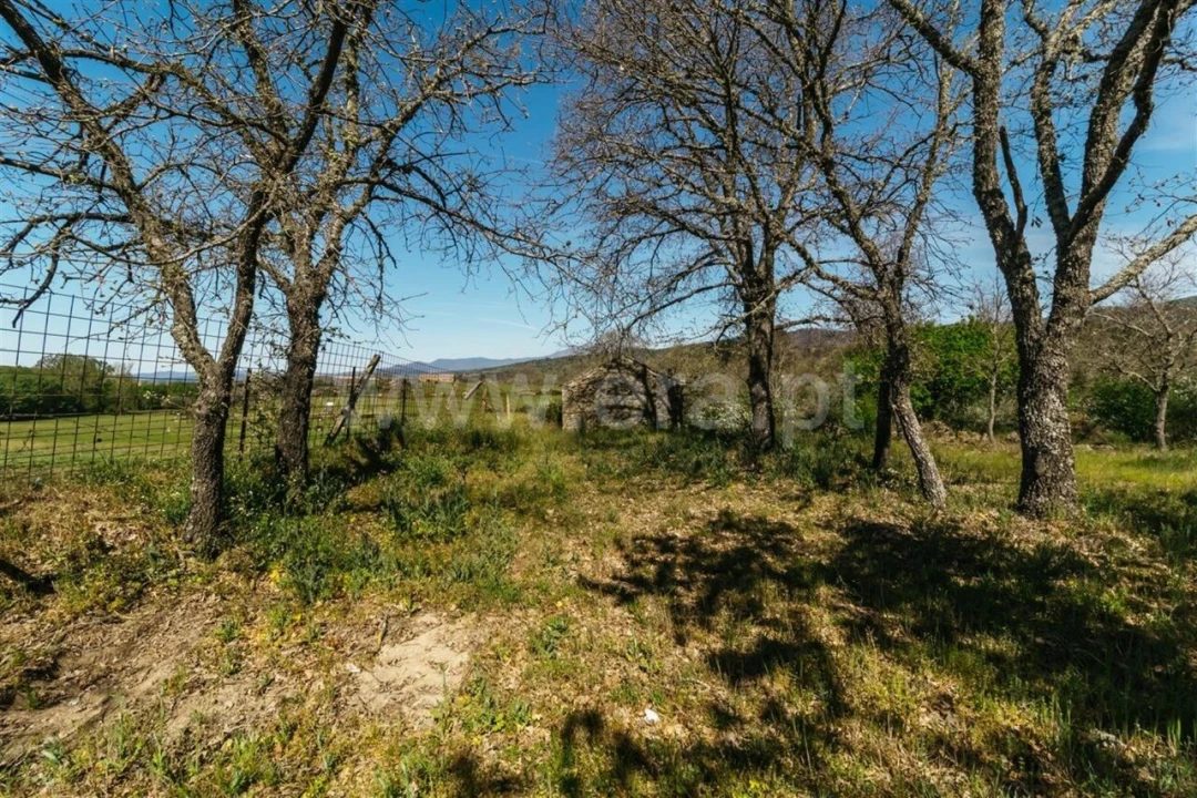 Terreno para Venda em Pero Viseu Foto 2