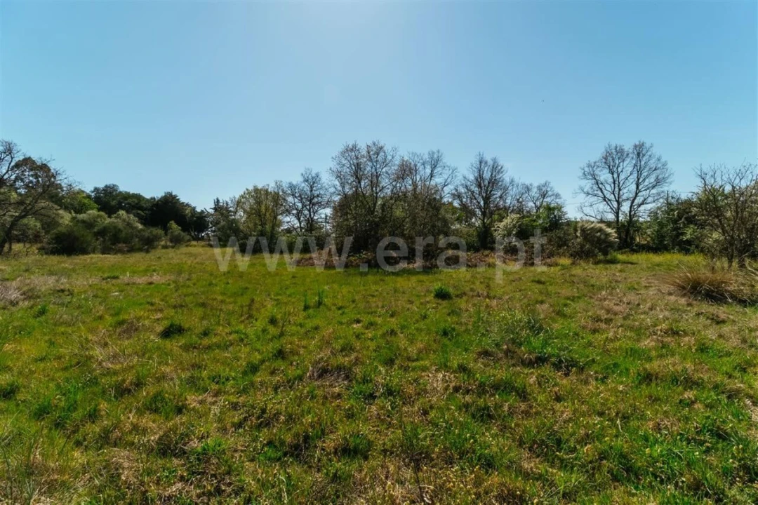 Terreno para Venda em Pero Viseu Foto 11