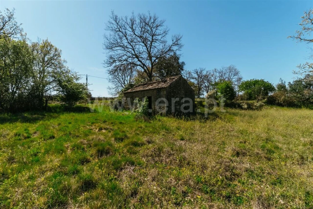Terreno para Venda em Pero Viseu Foto 9