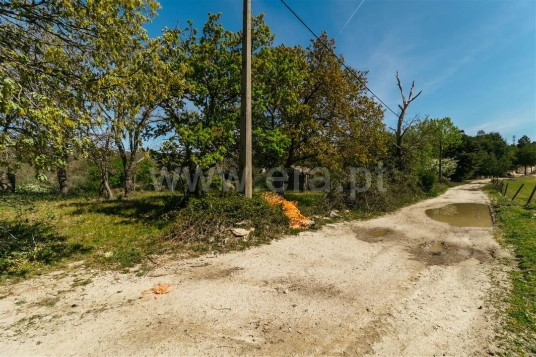Terreno para Venda em Pero Viseu Foto 12
