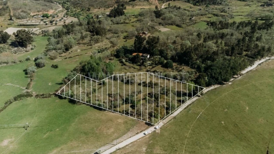 Terreno para Venda em Pero Viseu