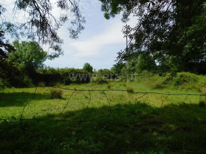 Terreno para Venda em Orca Foto 4