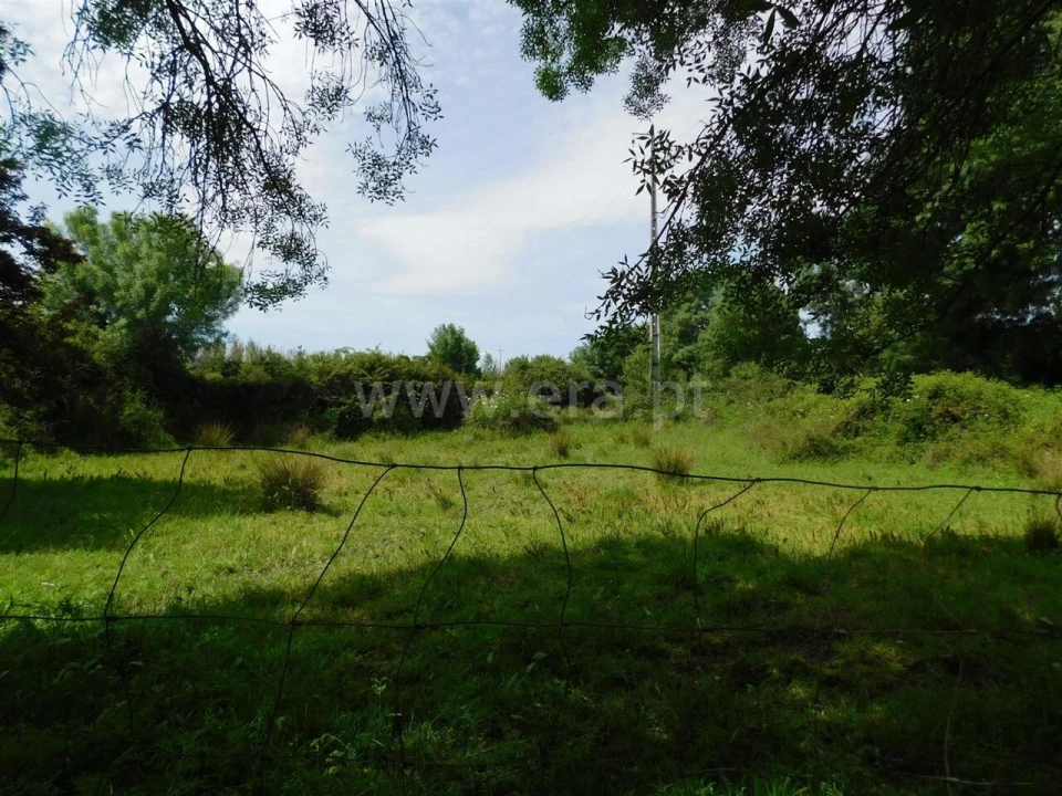 Terreno para Venda em Orca Foto 4