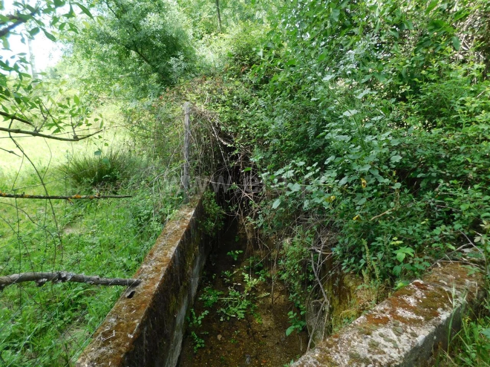 Terreno para Venda em Orca Foto 3