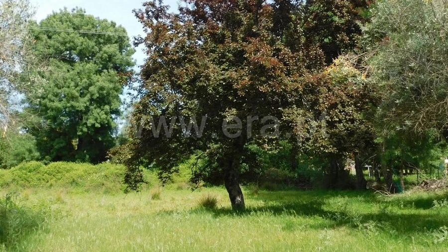 Terreno para Venda em Orca