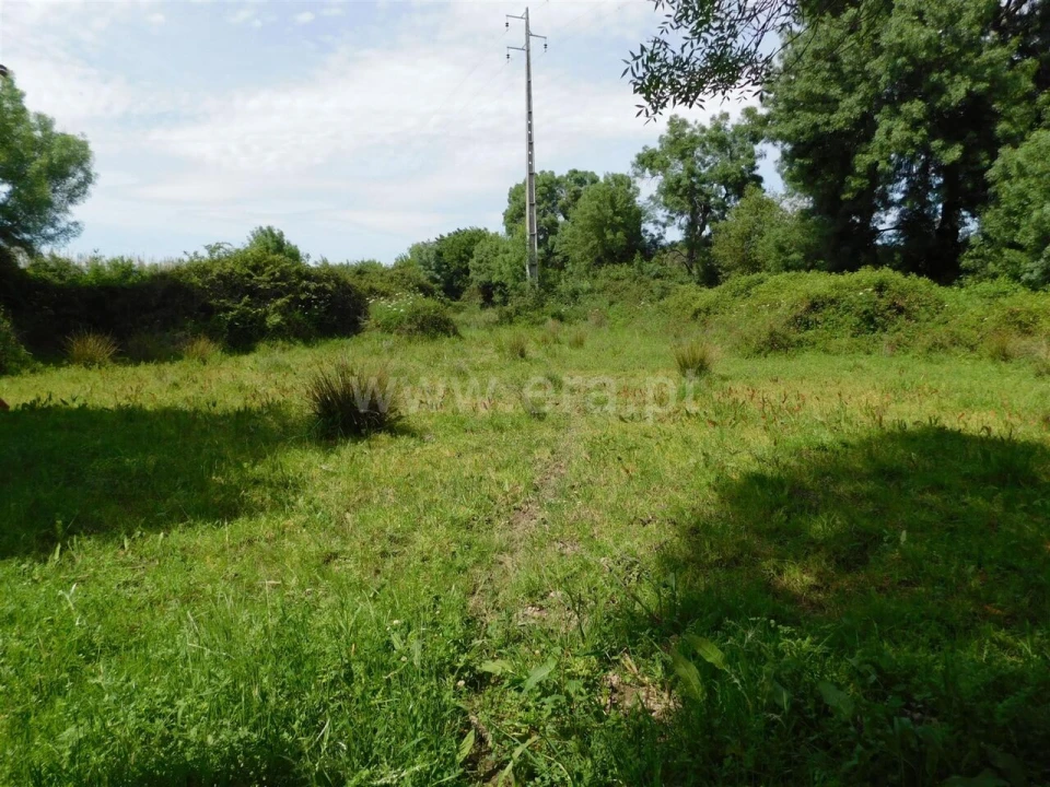 Terreno para Venda em Orca Foto 5