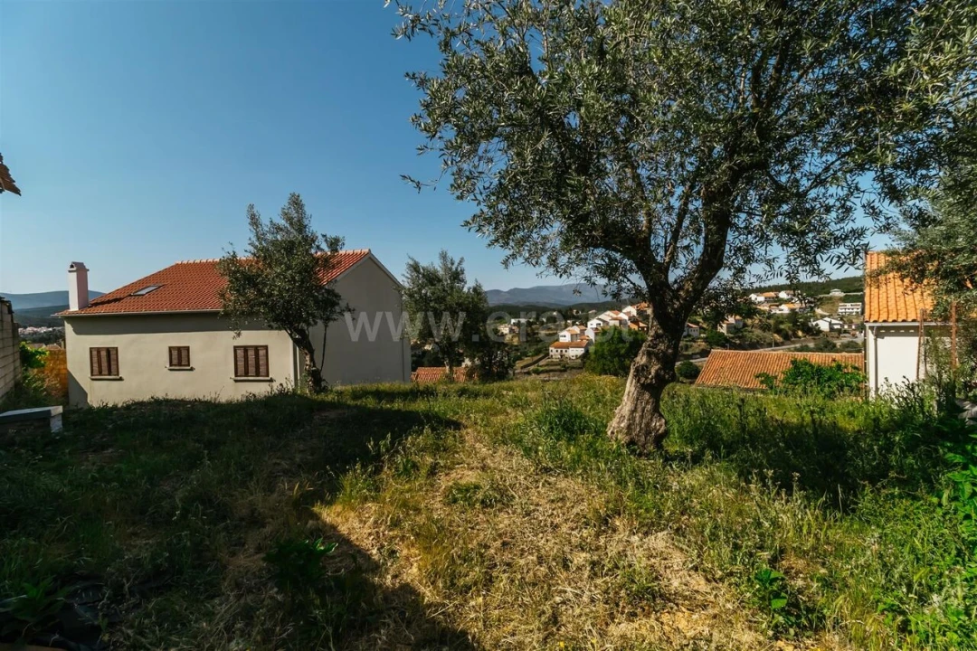 Terreno para Venda em Silvares Foto 9