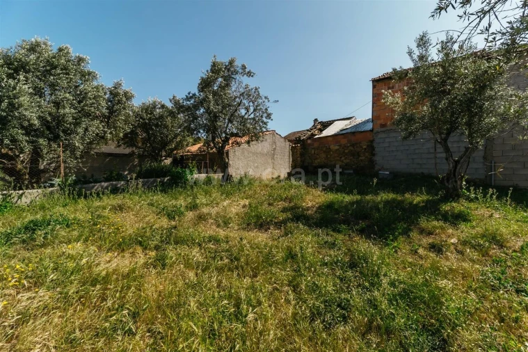 Terreno para Venda em Silvares Foto 7