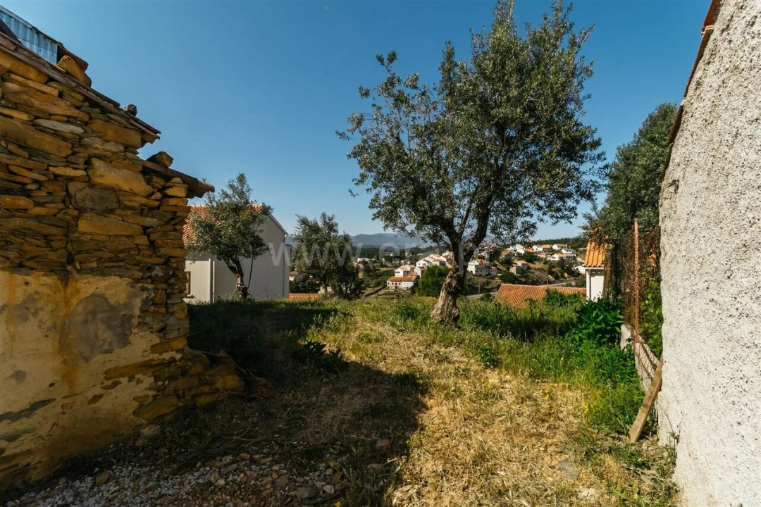 Terreno para Venda em Silvares Foto 11