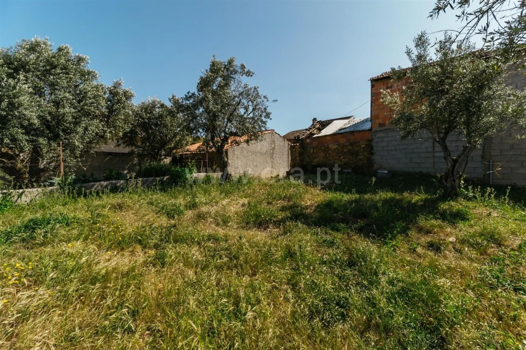 Terreno para Venda em Silvares Foto 7