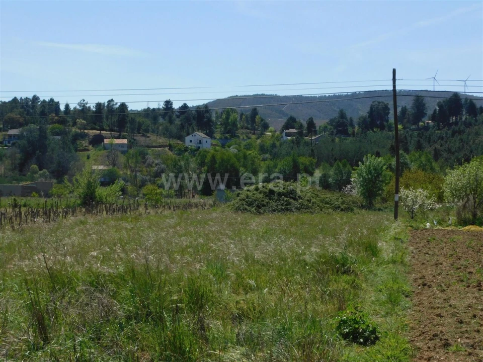 Terreno para Venda em Castelejo Foto 2