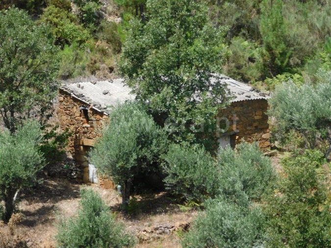 Quinta T0 para Venda em Lavacolhos Foto 3