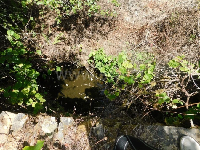 Quinta T0 para Venda em Lavacolhos Foto 8