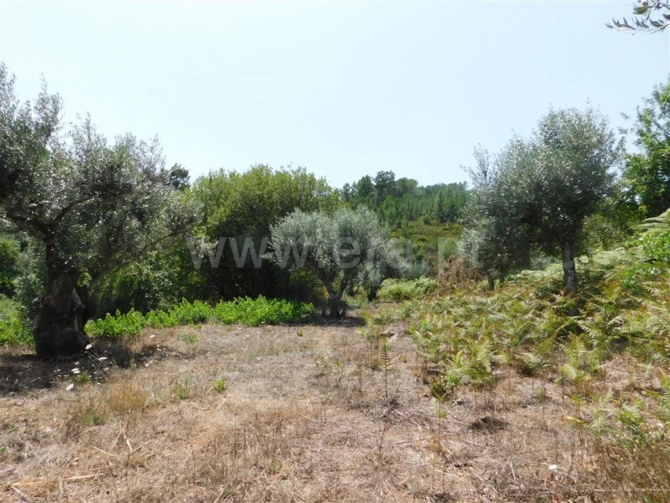 Quinta T0 para Venda em Lavacolhos Foto 11