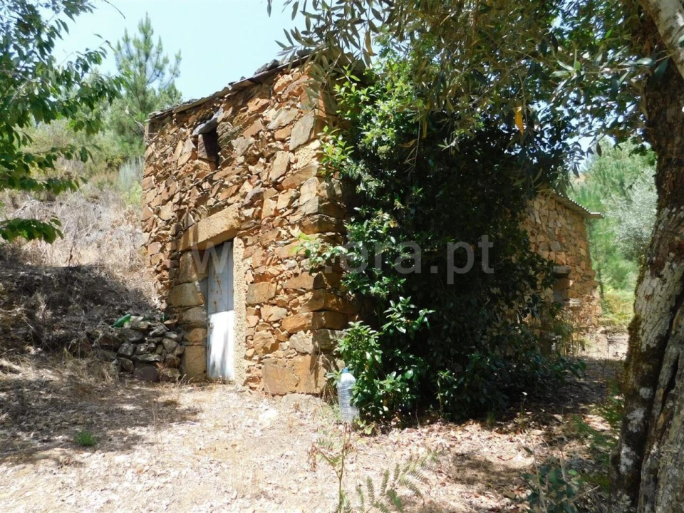 Quinta T0 para Venda em Lavacolhos Foto 1