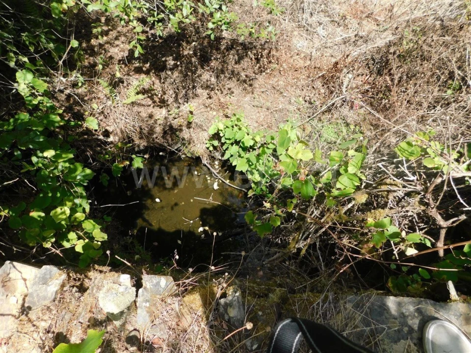 Quinta T0 para Venda em Lavacolhos Foto 8