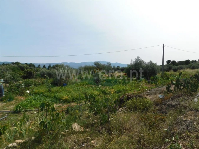 Terreno para Venda em Pero Viseu Foto 6