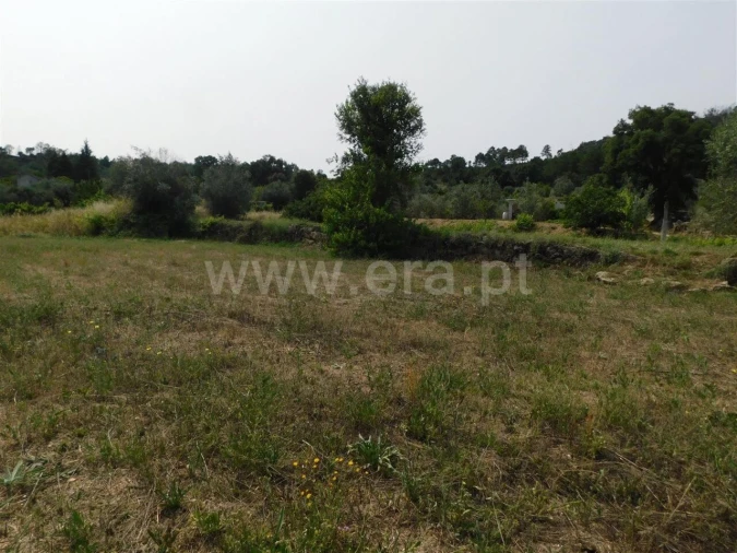 Terreno para Venda em Pero Viseu Foto 7