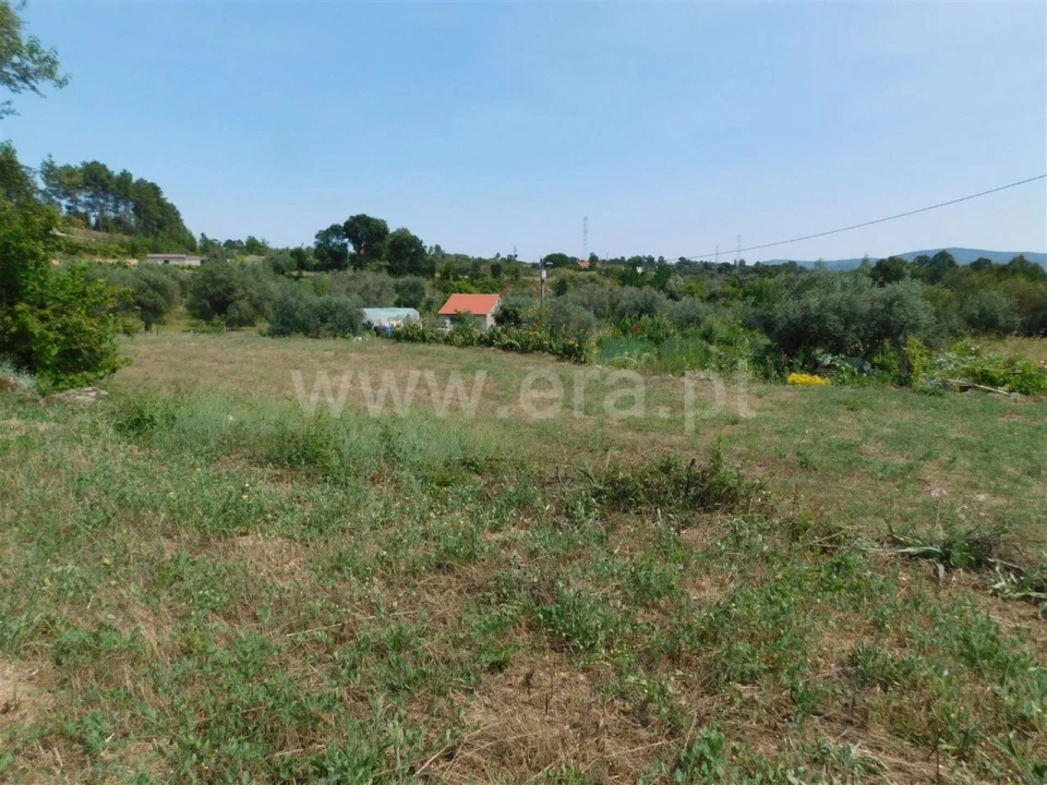 Terreno para Venda em Pero Viseu Foto 3