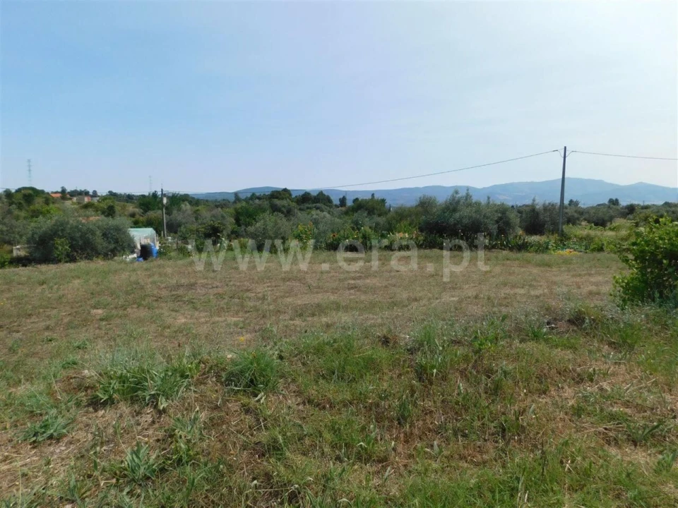 Terreno para Venda em Pero Viseu Foto 2
