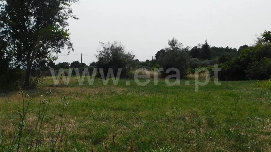 Terreno para Venda em Pero Viseu