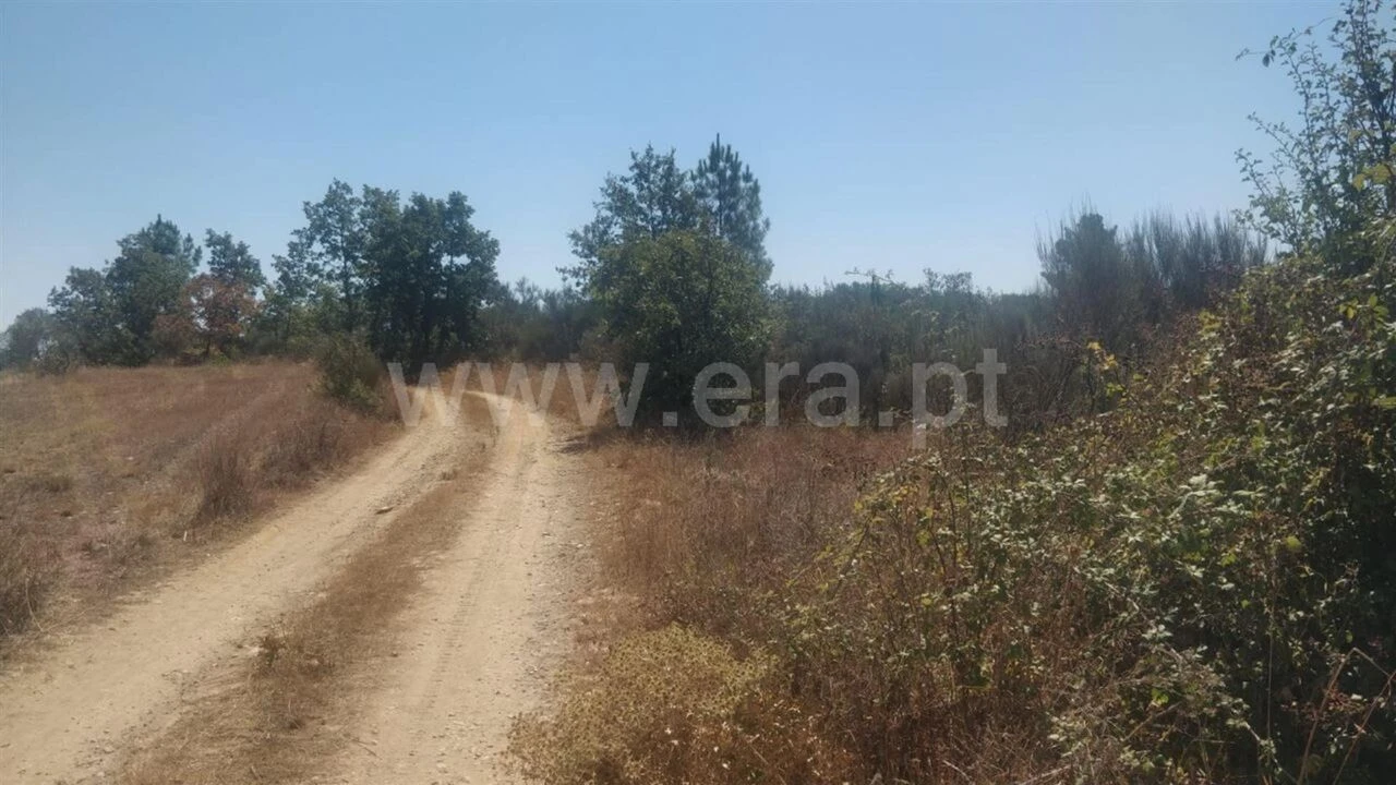 Terreno para Venda em Capinha Foto 3