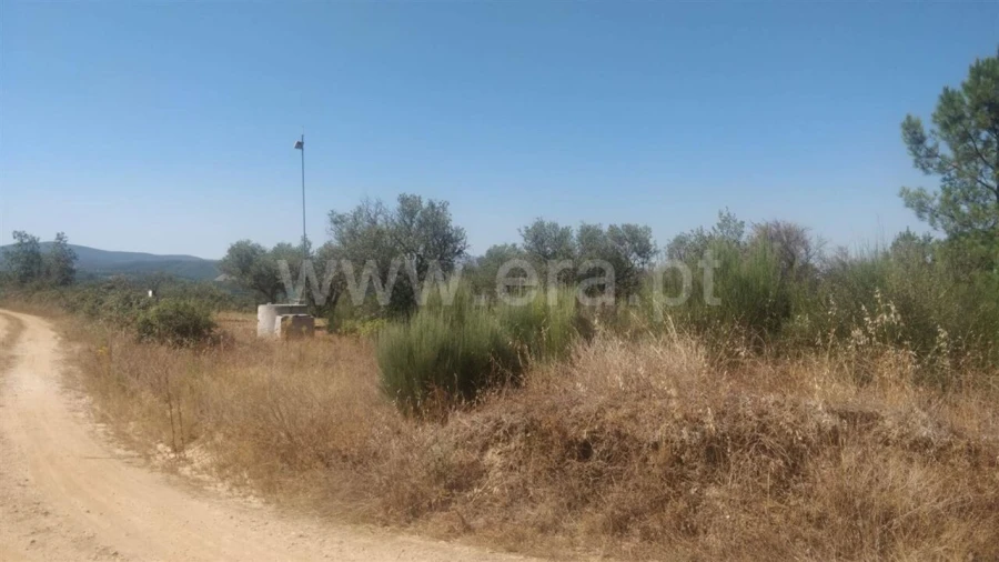 Terreno para Venda em Capinha Foto 4