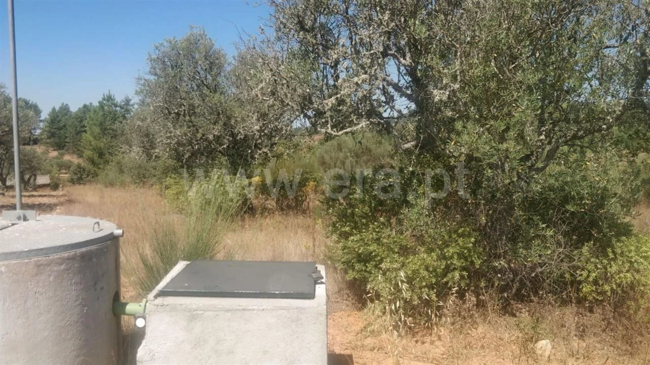 Terreno para Venda em Capinha Foto 2