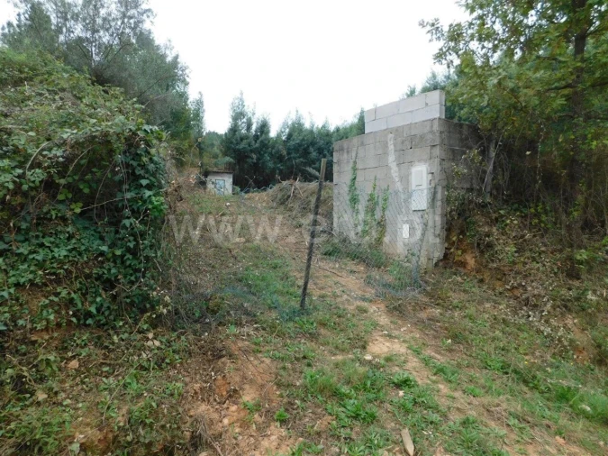 Terreno para Venda em Alcaide Foto 2