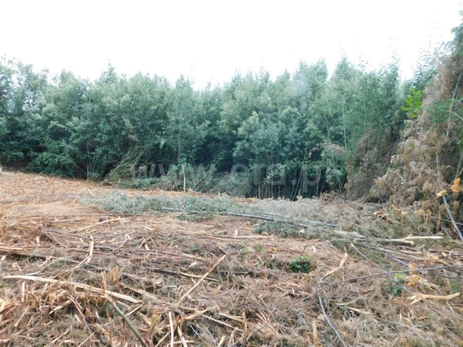 Terreno para Venda em Alcaide Foto 7