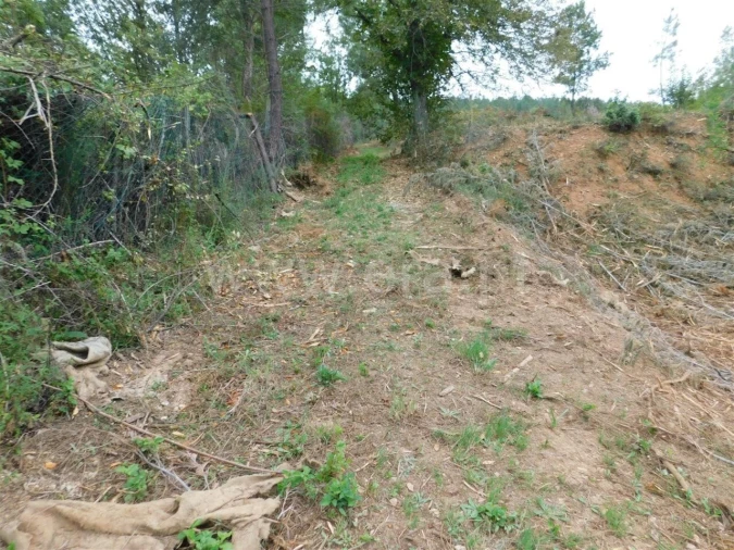 Terreno para Venda em Alcaide Foto 9