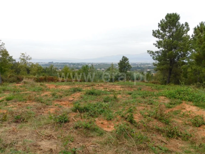 Terreno para Venda em Alcaide