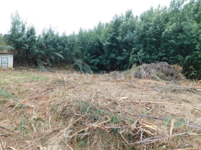 Terreno para Venda em Alcaide Foto 3