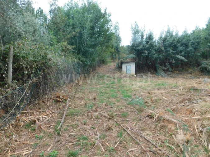 Terreno para Venda em Alcaide Foto 4