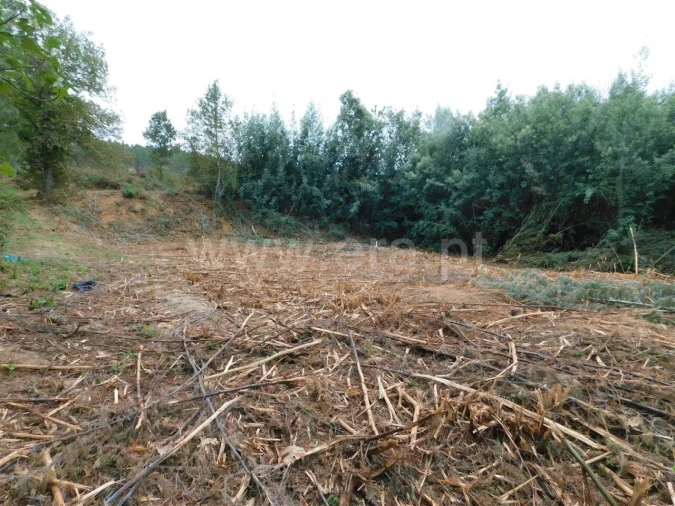 Terreno para Venda em Alcaide Foto 6