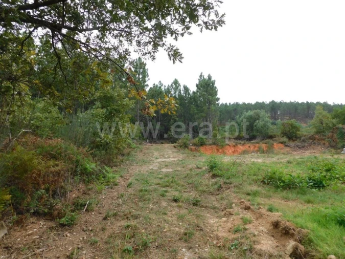 Terreno para Venda em Alcaide Foto 17