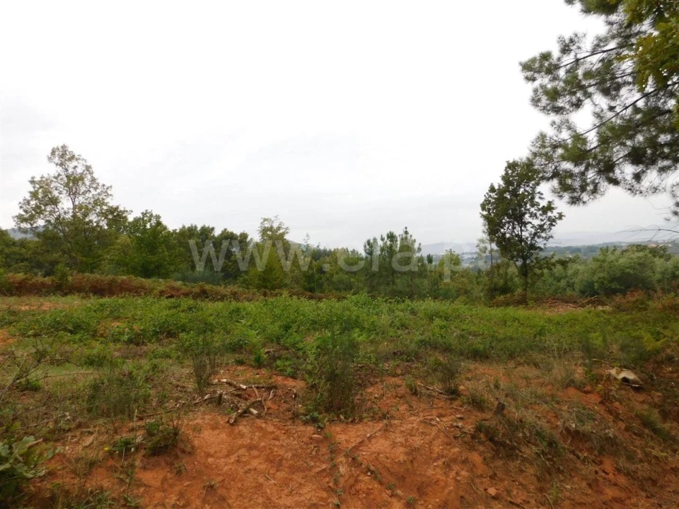 Terreno para Venda em Alcaide Foto 13