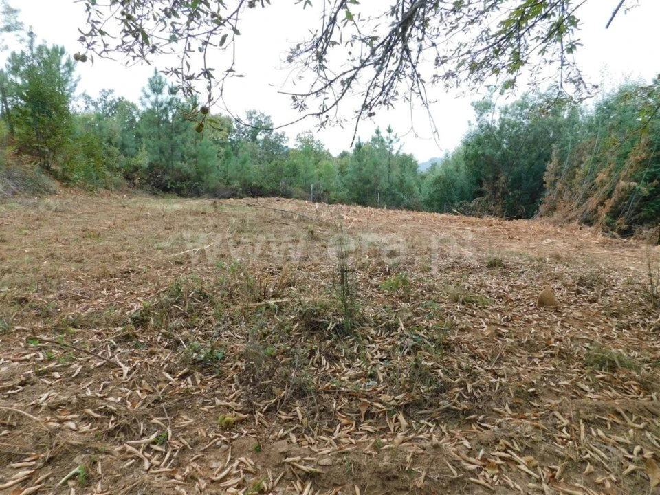 Terreno para Venda em Alcaide Foto 11