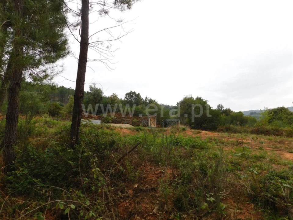 Terreno para Venda em Alcaide Foto 14