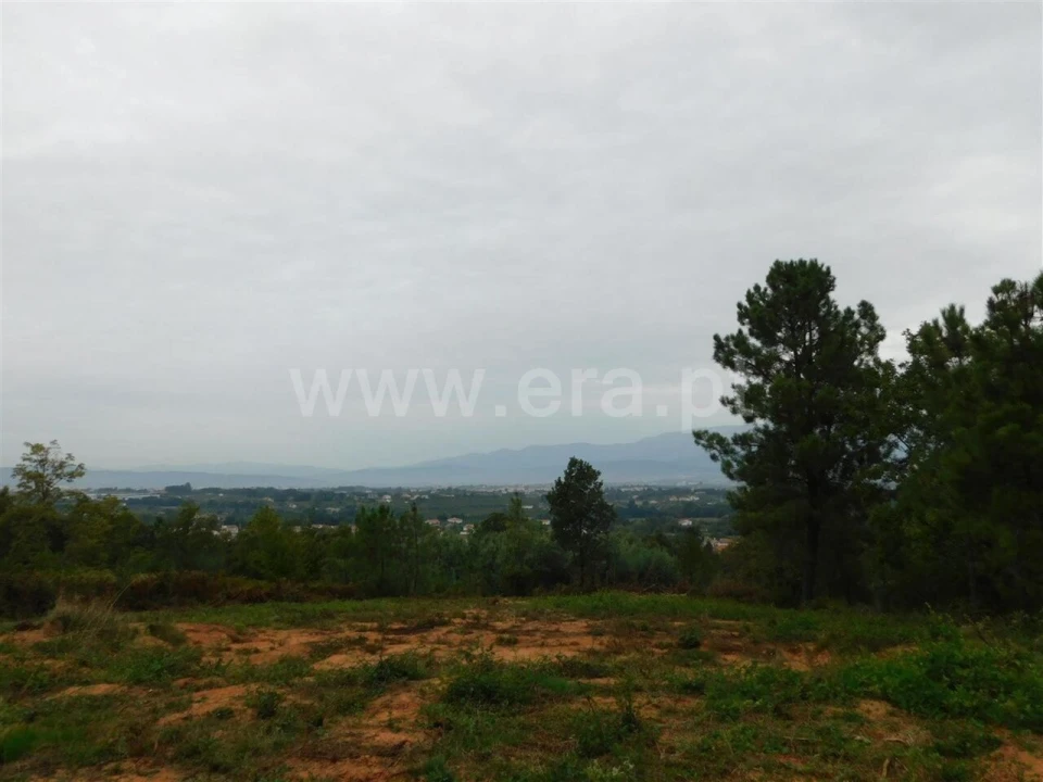Terreno para Venda em Alcaide Foto 19