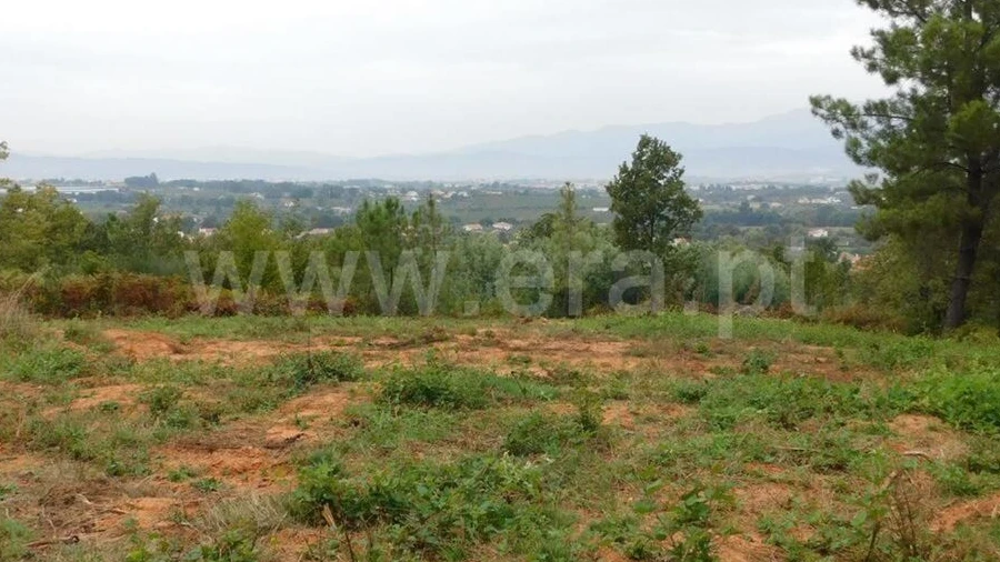 Terreno para Venda em Alcaide