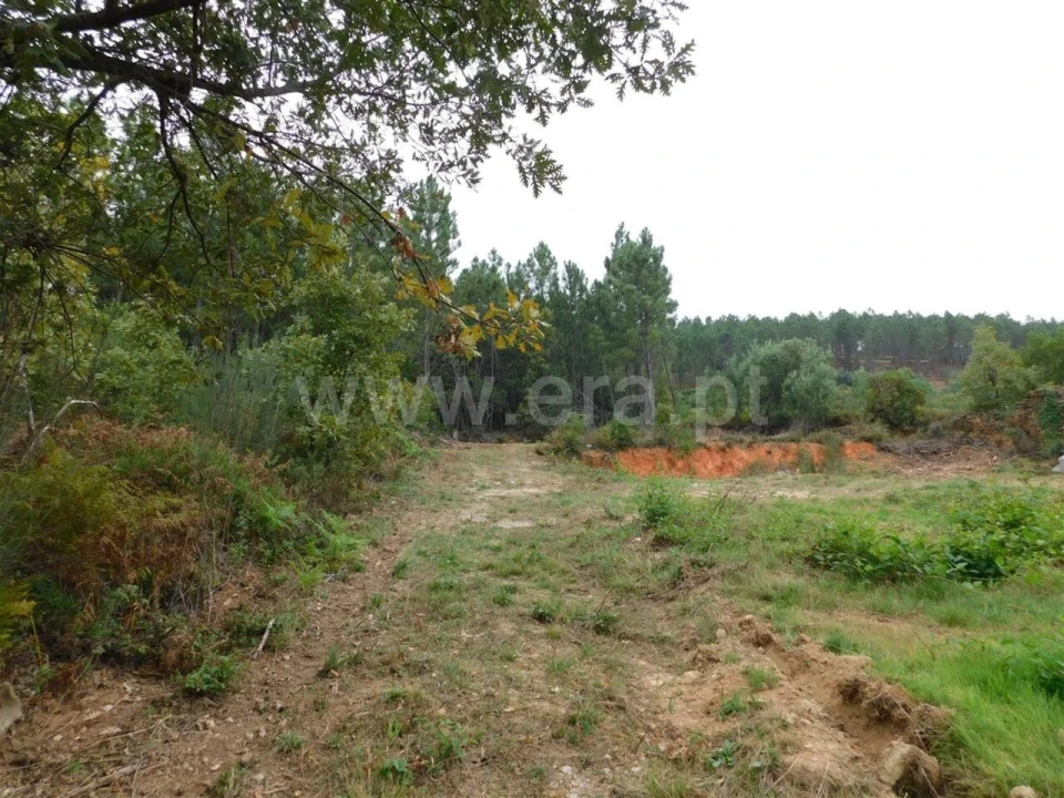 Terreno para Venda em Alcaide Foto 17