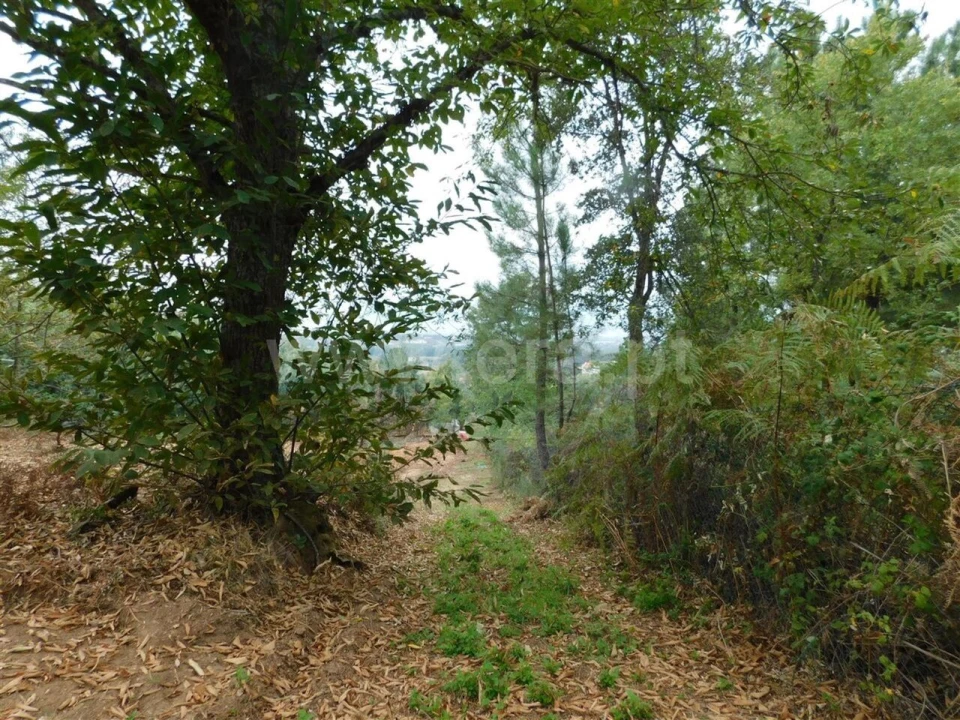 Terreno para Venda em Alcaide Foto 12